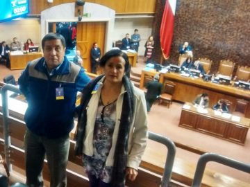 senado